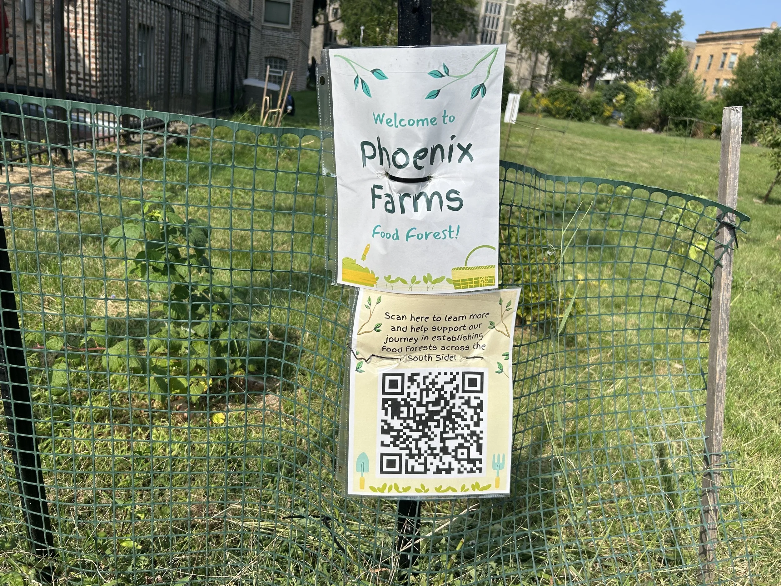 Food forest poster still standing after several weeks