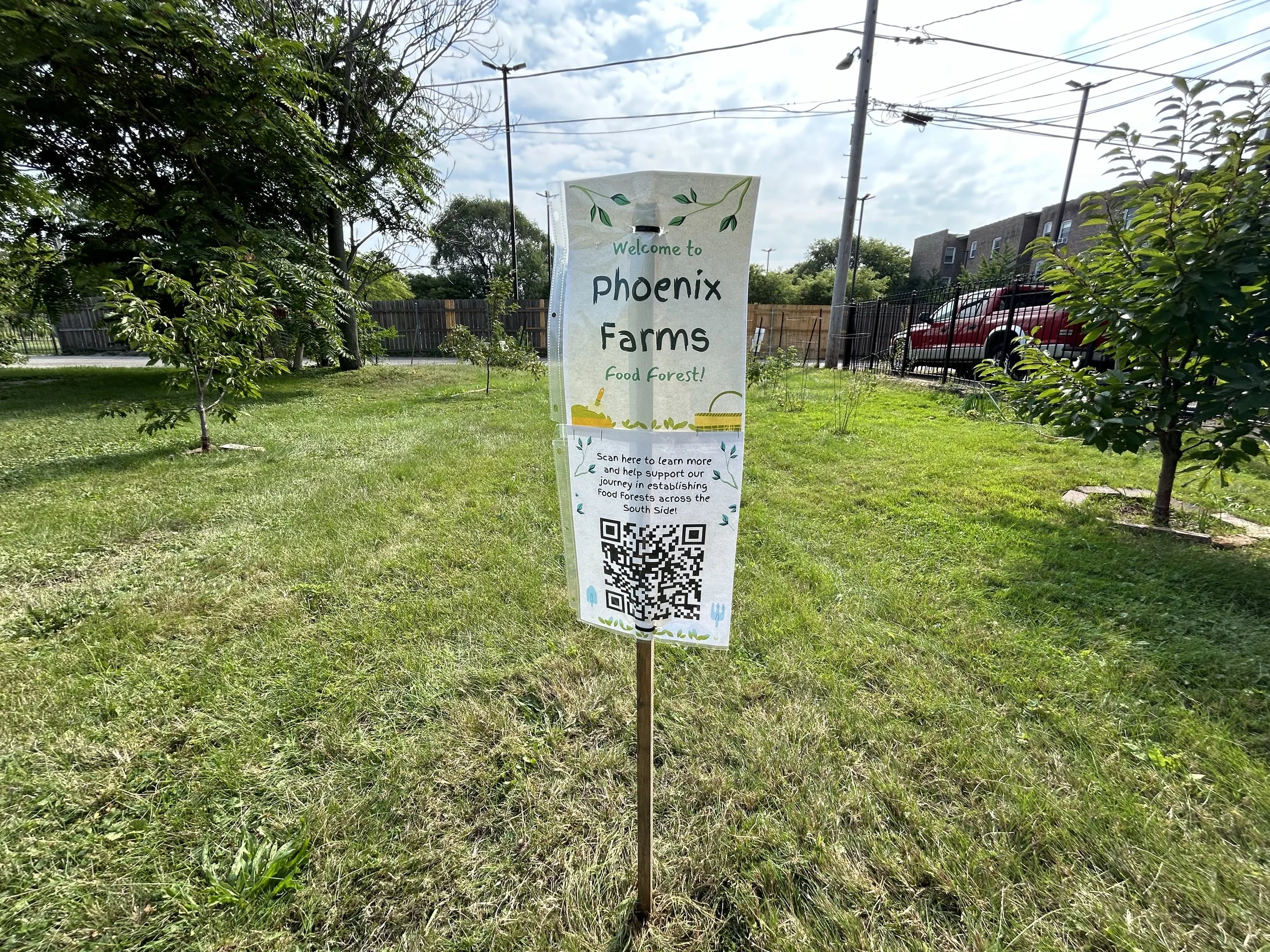 Phoenix Farms poster in the food forest